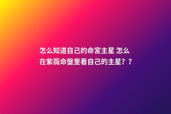 怎么知道自己的命宮主星 怎么在紫薇命盤里看自己的主星？？-第1張-觀點-玄機派